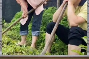 娱乐八卦一定是吃瓜群众的吗,揭秘吃瓜群众的狂欢盛宴